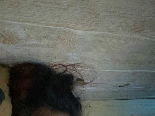 Rainie