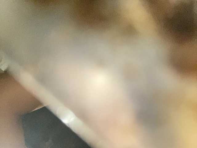Asiankitties live cam on BongaCams