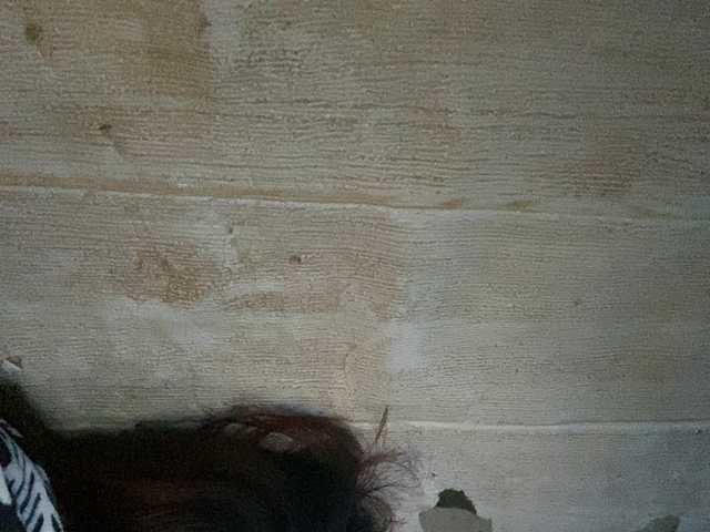 Rainie