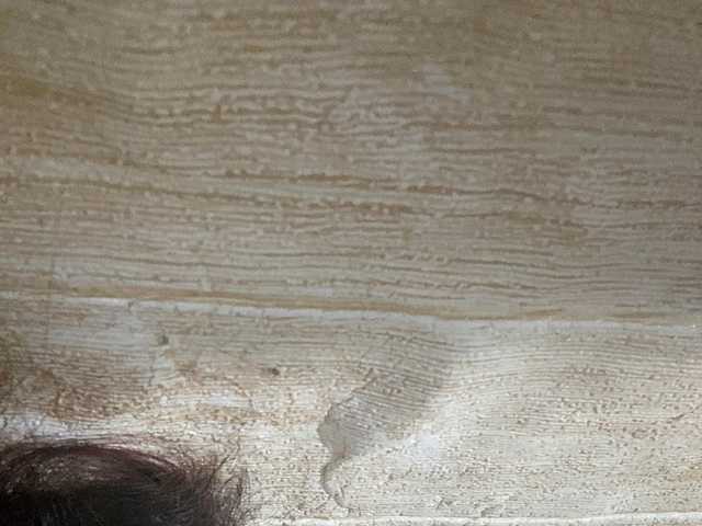 Asiankitties live cam on BongaCams