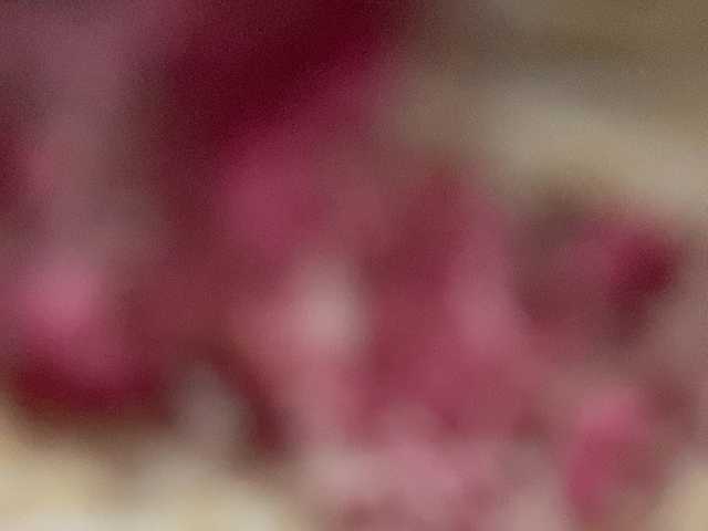 Asiankitties live cam on BongaCams