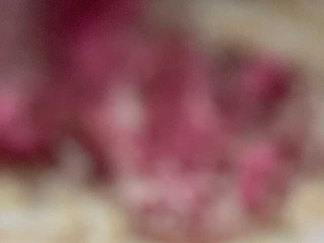 Asiankitties live cam on BongaCams