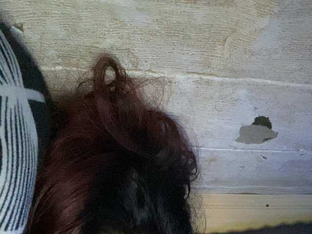 Rainie