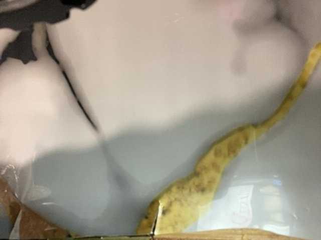 Asiankitties live cam on BongaCams