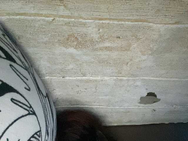 Rainie