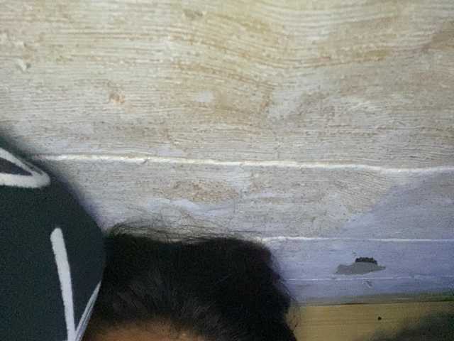 Rainie