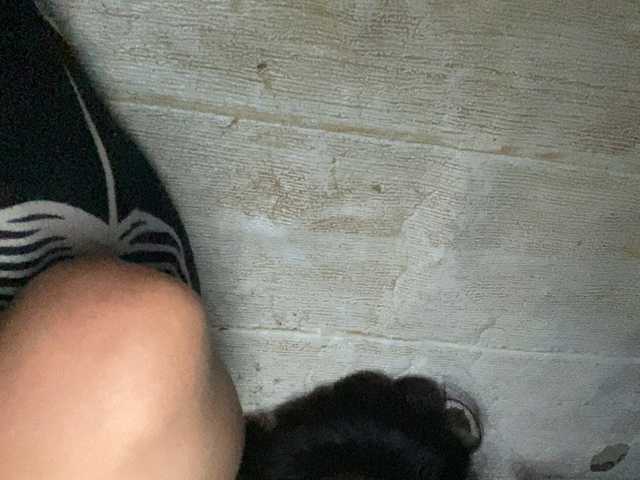 Asiankitties live cam on BongaCams