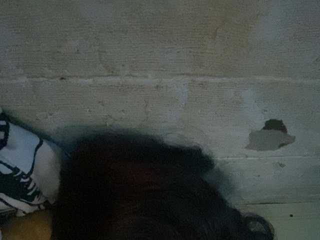 Rainie