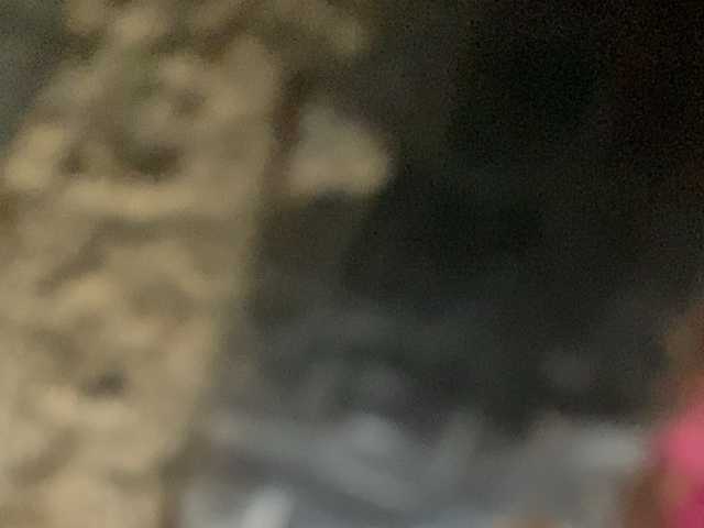 Asiankitties live cam on BongaCams