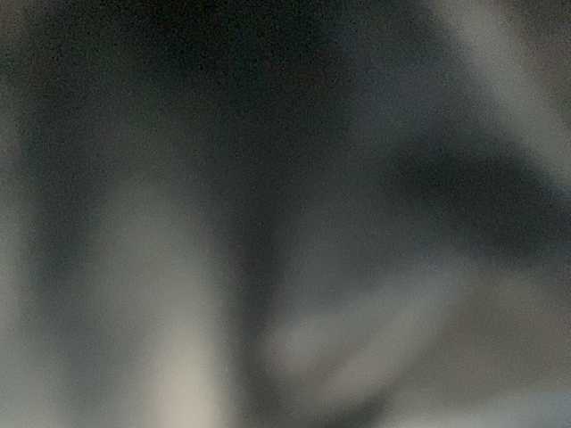 Asiankitties