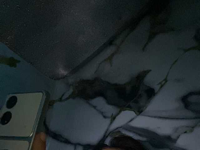 asiankitties live sex