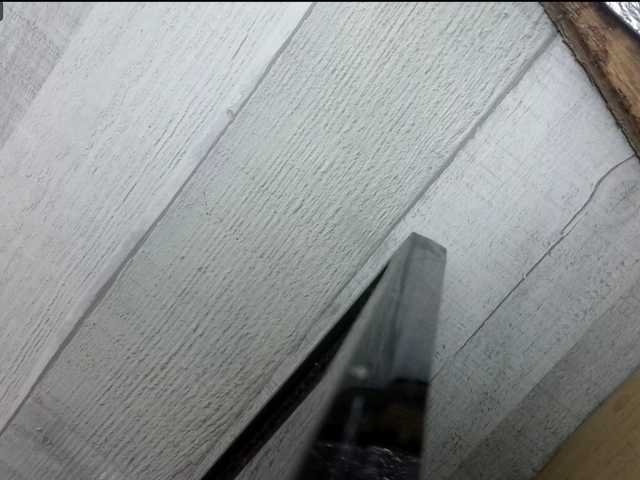 Asiankitties live cam on BongaCams