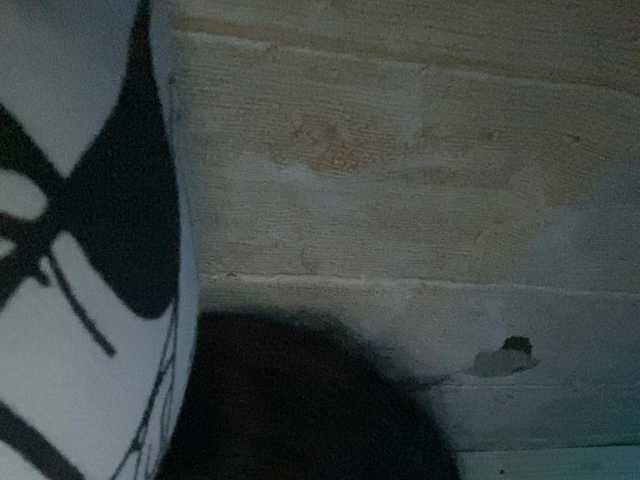 Rainie