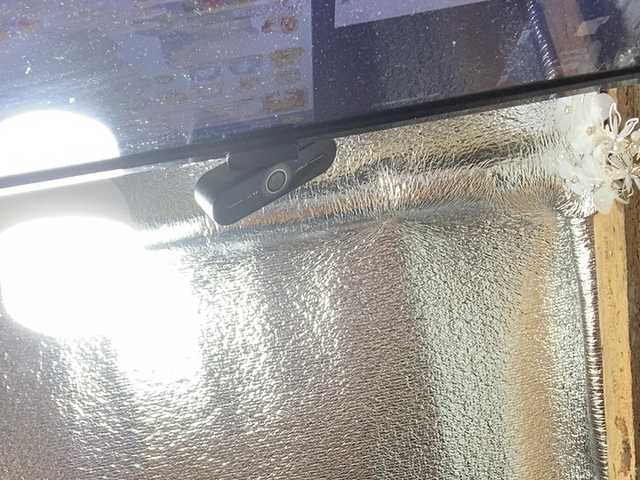 Asiankitties live cam