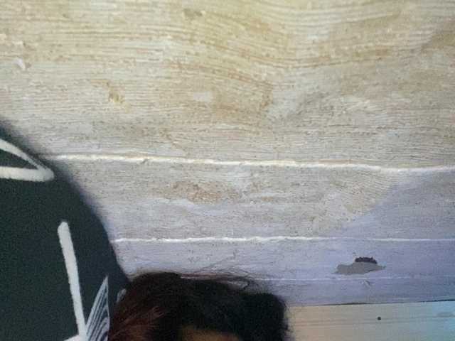 Rainie