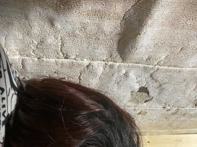 Rainie