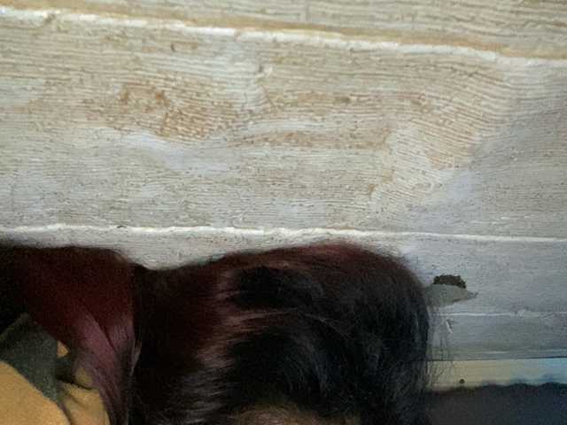 Rainie live cam preview