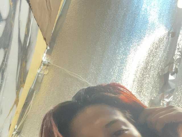 Asiankitties live cam on BongaCams