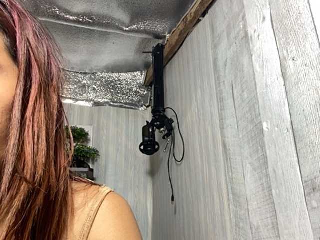 Asiankitties live cam on BongaCams