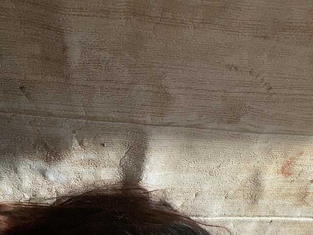 Rainie