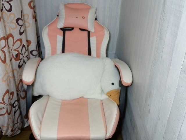Asiankitties live cam on BongaCams