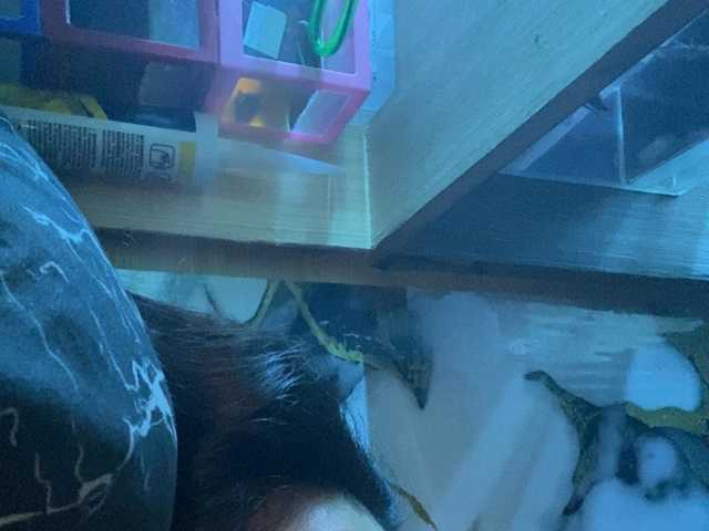 Rainie live cam preview