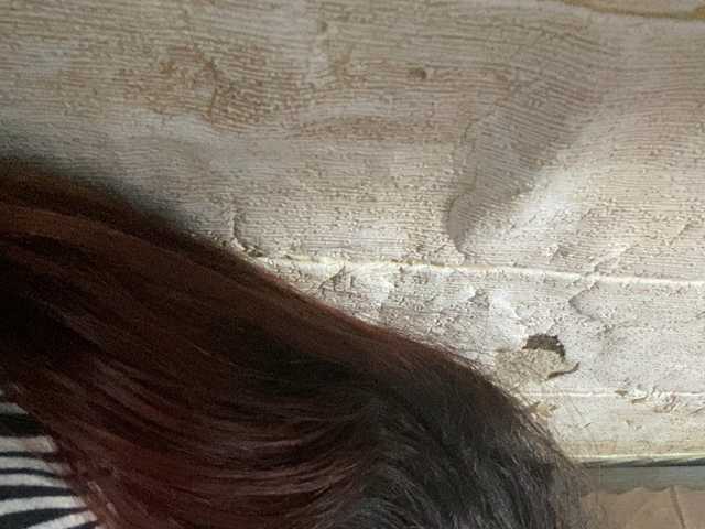 Rainie