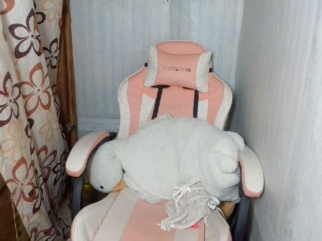 Asiankitties live cam on BongaCams