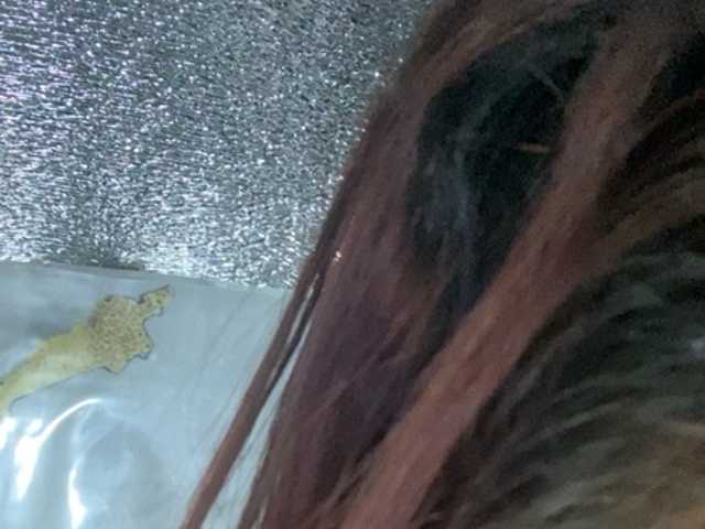 Rainie