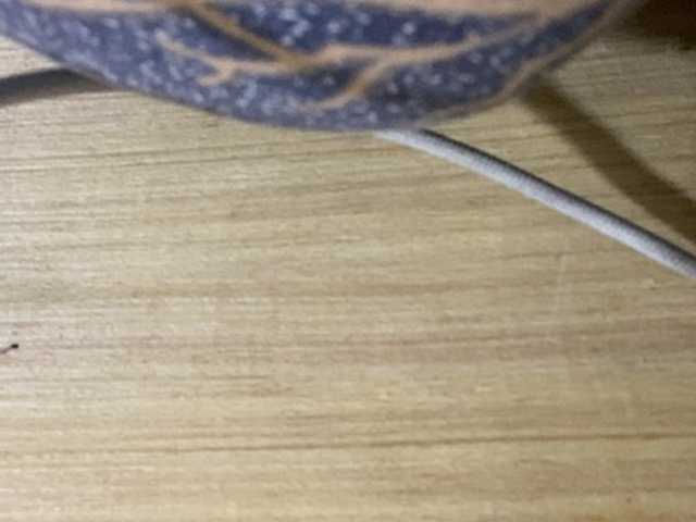 Asiankitties live cam on BongaCams