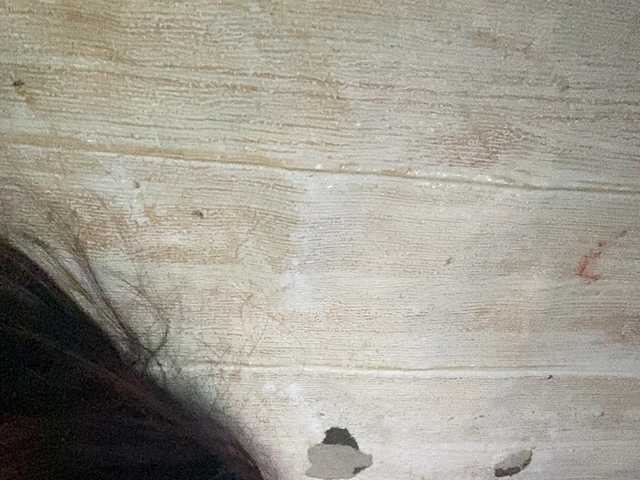 Rainie