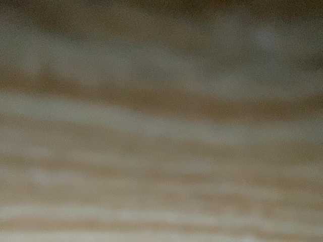 Rainie — live female cam