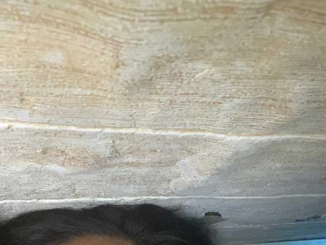 Asiankitties