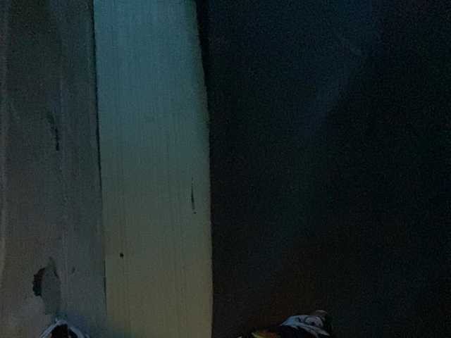 Asiankitties