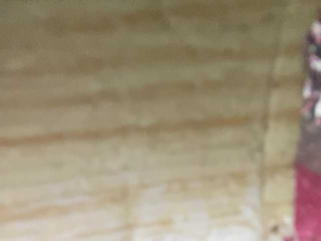 Asiankitties live cam on BongaCams