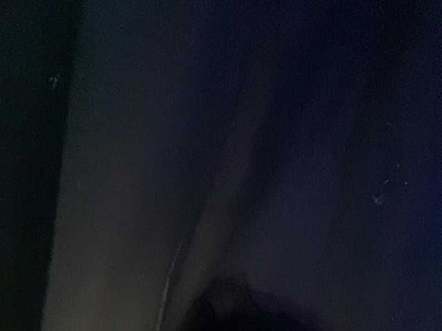 Rainie