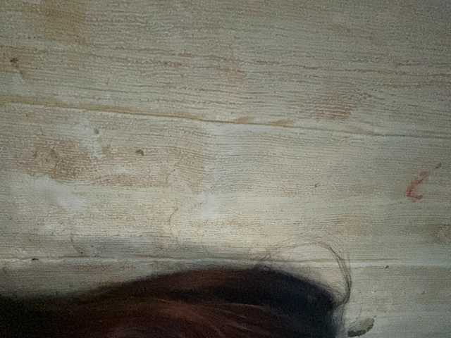 Rainie