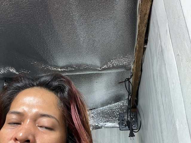 Asiankitties live cam on BongaCams