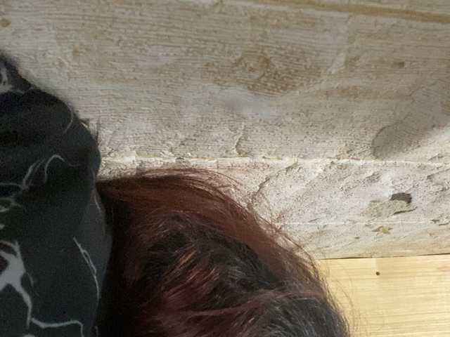 Rainie