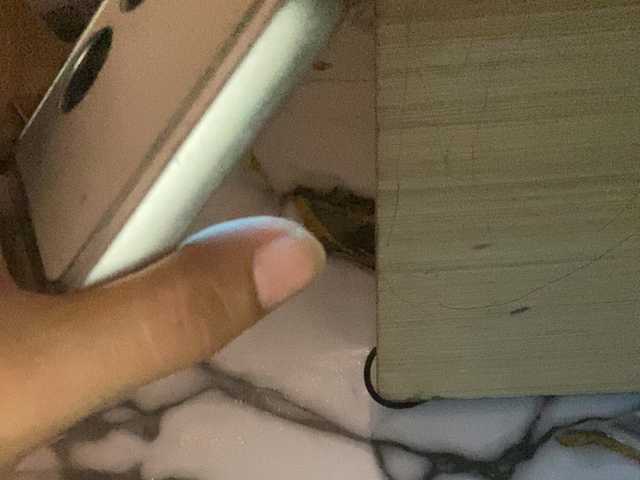 asiankitties online