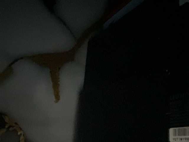 Asiankitties live cam on BongaCams