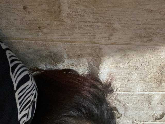 Rainie