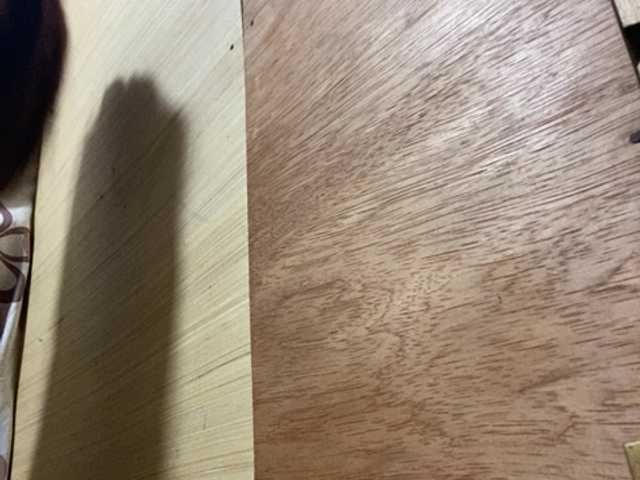 Asiankitties live cam on BongaCams