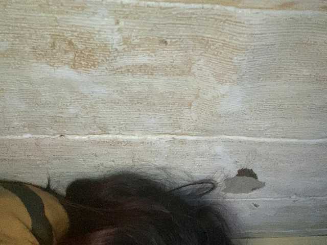 Rainie