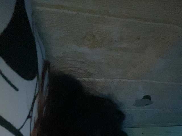 Asiankitties
