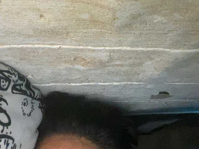 Rainie