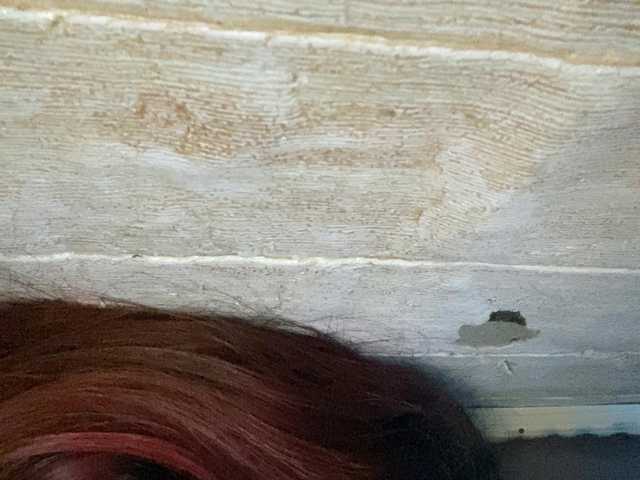 Rainie