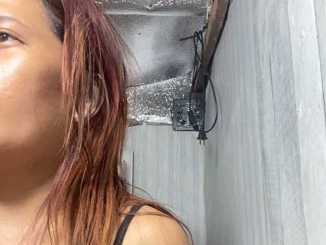Rainie
