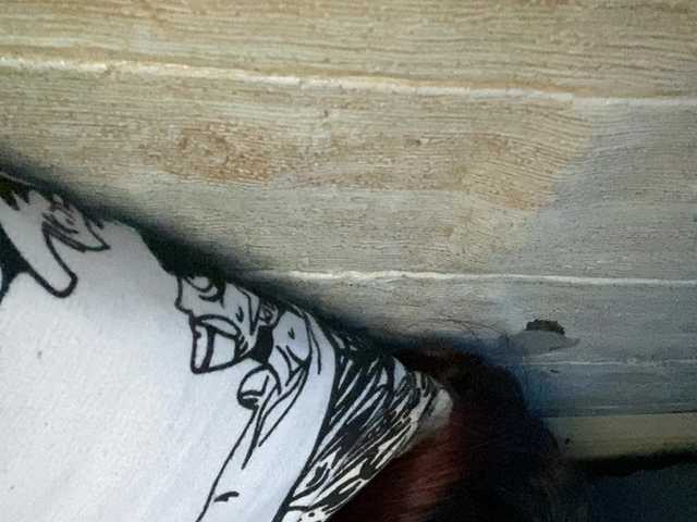 Asiankitties live cam
