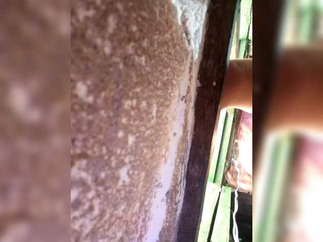 Preview of moonflowers